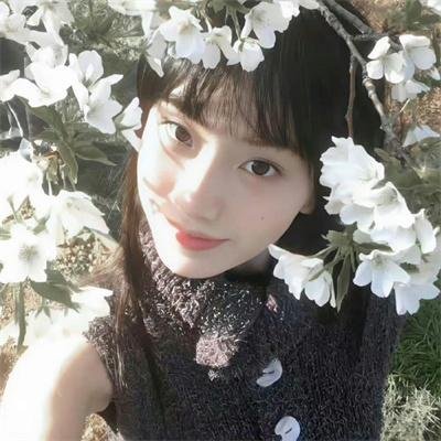 微风吹乱的爱情